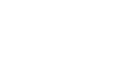 TEXAS INSTRUMENTS